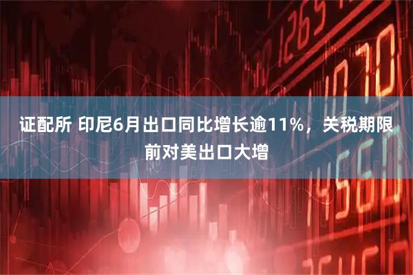 证配所 印尼6月出口同比增长逾11%,关税期限前对美出口大增