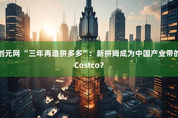 创元网 “三年再造拼多多”:新拼姆成为中国产业带的Costco?