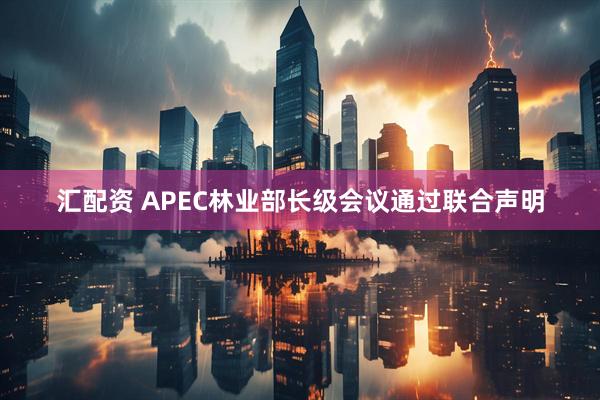 汇配资 APEC林业部长级会议通过联合声明